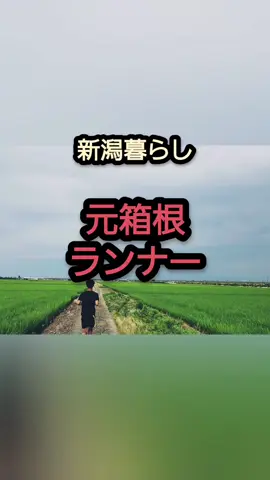新潟ランナーの特権 ◆BGM BGMer様 曲名　こもれびの手紙 https://youtu.be/4XWMF8C4nfU?si=0Jd9QD6Ht830YCyz #田園風景#稲穂#農道#ランニング
