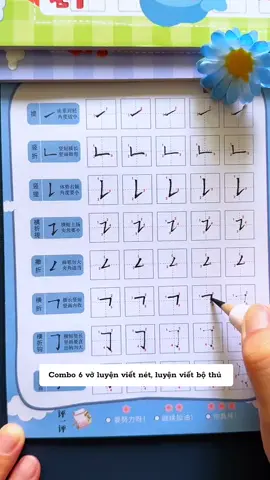 Combo 6 vở luyện viết nét cơ bản, luyện viết bộ thủ. #giayvietchuhan #vovietchuhan #luyenvietchuhan #LearnOnTikTok #xuhuong 