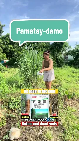 Walang kahirap-hirap, damo tanggal agad! 🌿 yellow basket! #PamatayDamoPH #WalangTabasTabas #GardenHack #EffortlessLinis #BudgetTipsPH #OutdoorCare #TiktokFindsPH #TagUlanEssential #DamoNoMore #creatorsearchinsights 