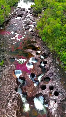 Una de mis oficinas de trabajo 🌱#cañocristales #fyp #fypシ゚ #viral #descubrecolombia #travel #traveltiktok #traveling #viralvideos 