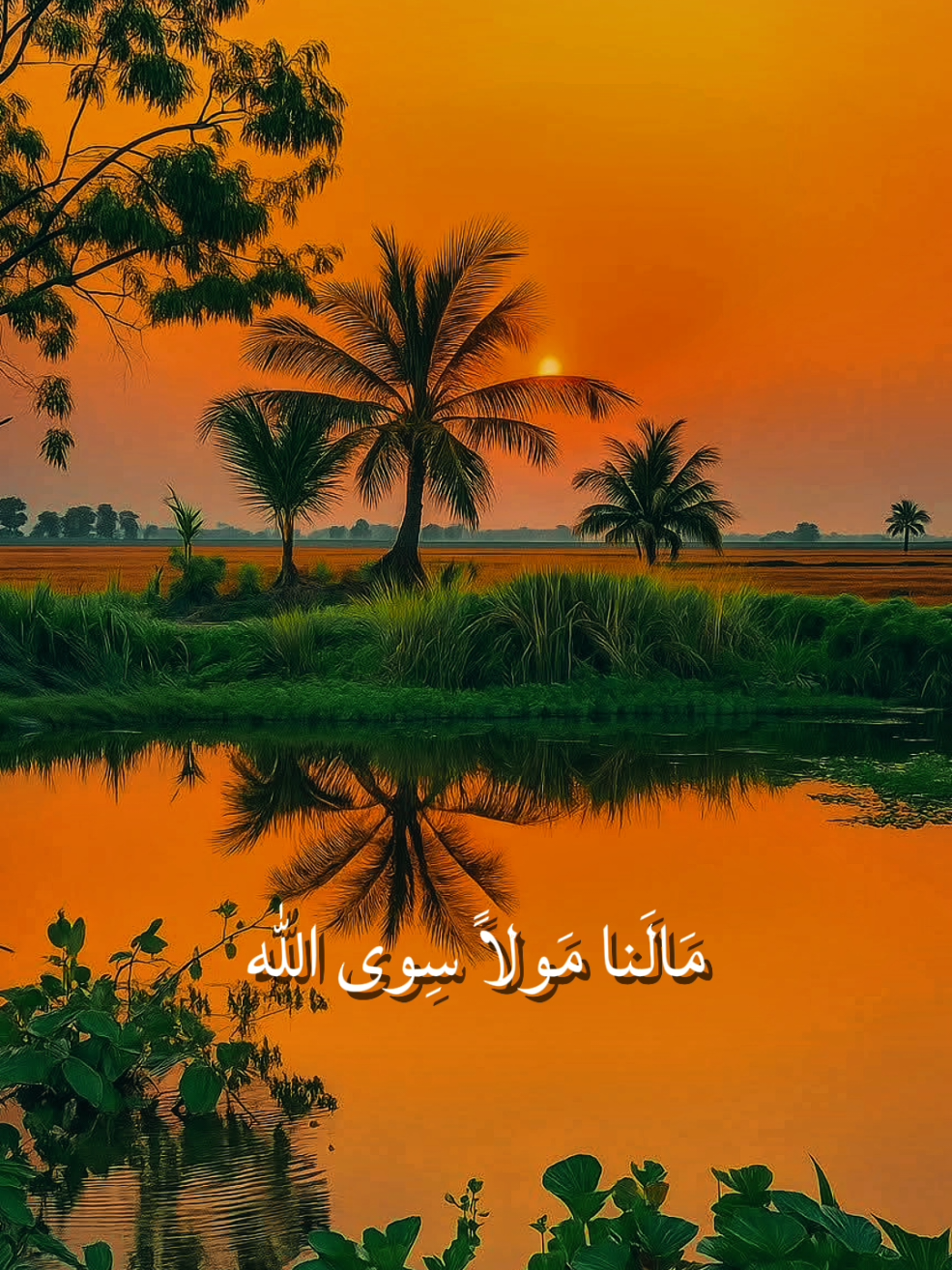 #الله_الله_مالنا_مولى_سوى_الله #أناشيد_بدون_موسيقى #نشيد #بدون_موسيقى #أنشودة #اكسبلور 