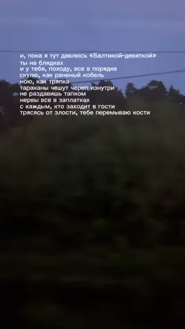 Noize MC-ты не считаешь #щп #нойзмс #нойз #noizemc #щитпост #щитпостинг #песнидлялипсингов #липсинг #видеоподмузыку #щпмузыка #рек #fyp #lyrics #lyrics_songs #viral #recommendations #музыка #тынесчитаешьсколькоднейятебенезвонил #foryoupage 