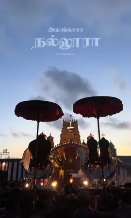 இன்னும் 21 நாட்கள்…….  🙏#jaffna #tamil #kovil #nallur#nallurmurugan🛕 #nallurkandaswamytemple #kilinochchi #vavuniya #mannar #colombo #gltharshan #gl #trending #trendingtiktok #tamilsong #tamilcomedy #fyp #fypage #fyppppppppppppppppppppppp #srilanka #canada #canada_life🇨🇦 #eelam #london #londontiktok #uk #canadatamiltiktok #jaffnakovil🥰 #tamilmovie 