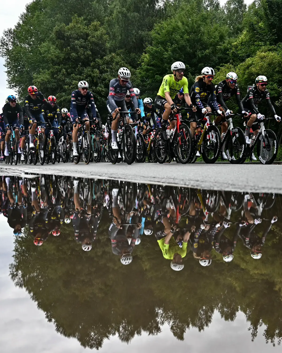 The riders face wet conditions at the Tour de France 🌧️ #rain #cycling #TourDeFrance 