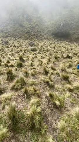 lawu eksotis bukan mistis #pendakigunung #lawumountain #gununglawu #pendakifomo 