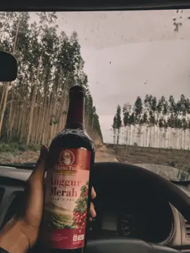 🙂#orangtua #intisari #fyp #lewatberanda 