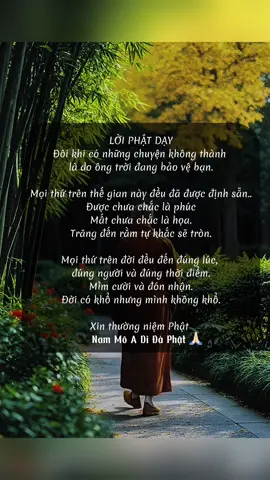 Được chưa chắc là phúc Mất chưa chắc là hoạ. .. #nammoadidaphat #phậtphápnhiệmmầu #motchutdiudang #quotesviet #trichdanhay #quotes 