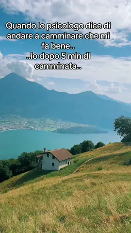 ..spero di non essere l’unica..che va dallo psicologo..🤣🤣 #pentru___tine #for #perte #umorismo #perte #goviral #funnytiktok 