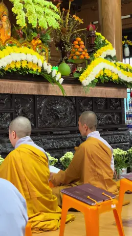 Ngày nào tới phiên cô hương đăng là được nghe cả ngày😄