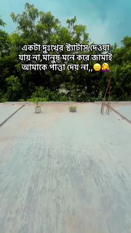 হ্যাঁ,,😑🤦‍♀️#foryou #foryoupage #tending #tiktokvideo #fypシ゚viral #unfrezzmyaccount🥀 #fyppppppppppppppppppppppp 