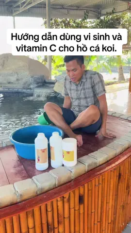 Hướng dẫn dùng vi sinh và vitamin C cho hồ cá koi.