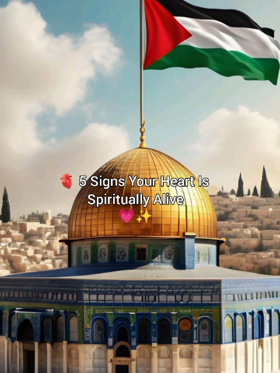 5 signs your heart is spiritually alive 🤍✨🫀|| #tiktok #fypシ #fyp #fypage #foryou #foryoupage #popular #viral #goviral #nasheed #islamic #islam #muslim #creatorsearchinsights #unfreezemyacount #viewsproblem #beautiful #islamicreminder #islamicstatus #edit #capcut #template 