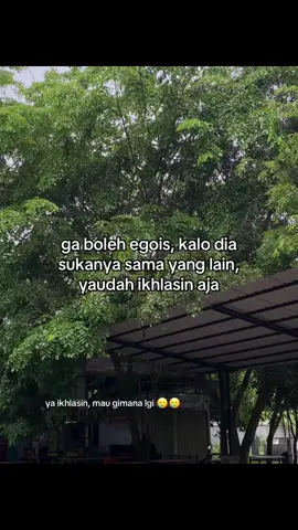 #galaubrutal 