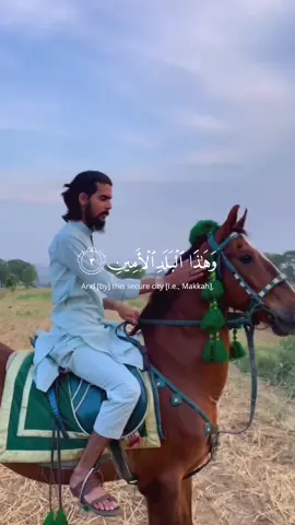 Quran 🌍❤️‍🩹🌺#creatorsearchinsights #Quran #loveyou #Allah #lovequran #allahuakbar #islamic_video #muslim #islamicstatus #fyp #islamicquotes #Lifestyle 