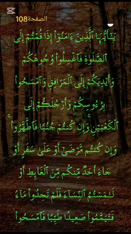 الصفحة108 من القرآن الكريم بصوت خاشع ومؤثر #سعد_الغامدي #سورة_المائدة #قران #قران_كريم #نفع_الله_بكم_الاسلام #المؤمنون_بالله_وحده #تلاوة_خاشعة #راحة_نفسية #تلاوة #لاتكفروا_بالله #حافظواعلى_الصلاة #القرآن_الكريم_ترند #صلوا_على_خير_البشر_تغنموا #اجزاء_من_القرآن #القرآن_صفحات #اكسبلور #quran #quran_alkarim #viral #fyp #foryou 