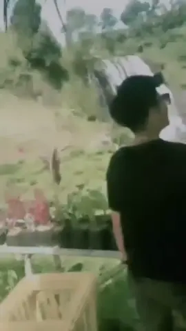 #fyp #ekpresikandengancapcut #sadboy #masukberandafyp 