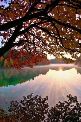 Peace like this doesn’t need words. Just watch. 🌅💧 #NatureBeauty   #SereneViews   #SunsetLovers   #CrystalLake   #PeacefulPlaces   #CalmingVisuals   #NatureReels   #tiktoktravel   #DreamyScenery   #RelaxingVibes