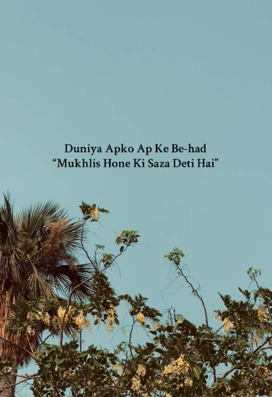 Saza milti hai mukhlis honey pe…#foryou #foryoupage #trending #quotes #quotesaesthetic #darkalfaz #urduquotes #100kviews #lines #fyp #words 