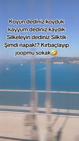 he daha napak 🤣🇹🇷💡🇹🇷💡 #akparti #cumhurittifakı #receptayyiperdogan #devletbahçeli #keşfetttt #kesfetteizzzzzzzzzzzzzzzzzzzzzzz 