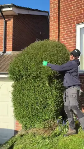 #garden #gardening #clean #cleaning #asmr #fyp 