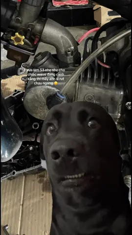 tha em #xuhuongtiktok 