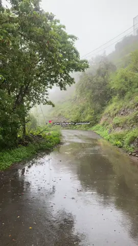 🌷 #الجنوب #طبيعه #fyp 