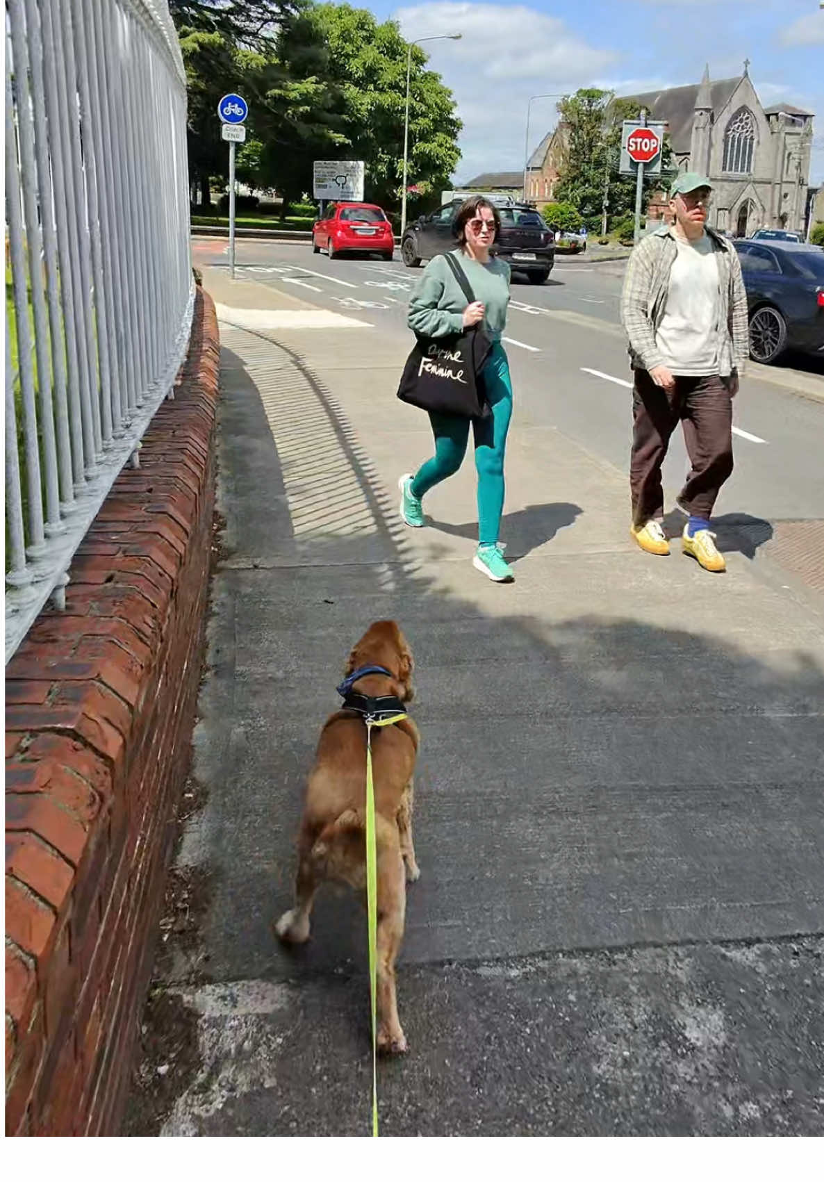 Walking the dog POV #fyp #pov 