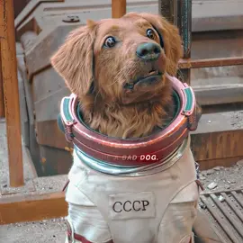 #movie #tktok #fyp #viralvideo #fyppppppppppppppppppppppp 