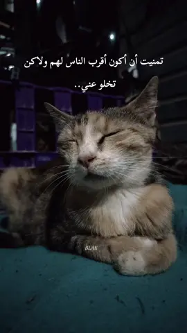 #ستوريات_حزينة #ستوريات #اقتباسات #🖤🥀 