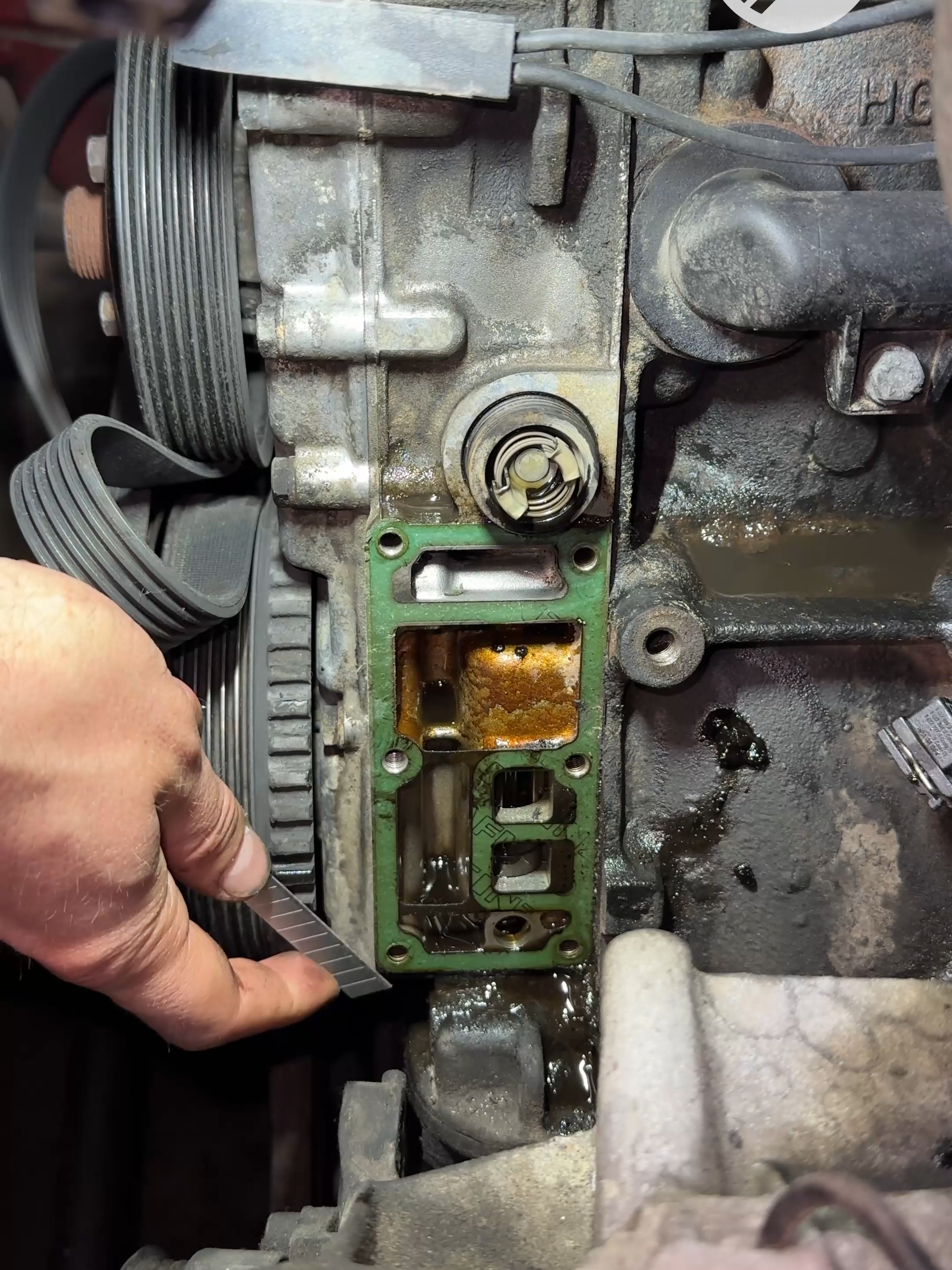 Repairing an oil leak in a 1995 BMW 3 Series😱 #e36 #DIY #mechanic