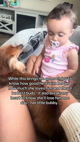 Why can’t dogs live forever?..♥️🥺 #fyp #doglover #dachshundsoftiktok #bestbuds #Love #dogsoftiktok #babyanddog #foryou 