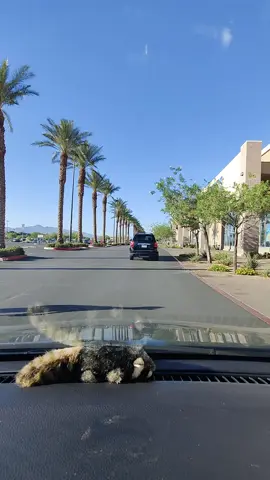 #TRAVEL🇺🇸🛫🛬✈️ #fypシ゚viral2025 #FREMONTSTRRET🎰🎲🇺🇸 #LASVEGASNV🇺🇸🎲🎰 #TRAVEL🇺🇸🛫🛬✈️ 