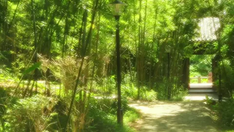 “Tôi không chạy theo ánh sáng rực rỡ, tôi chọn ở lại nơi bình yên có người thật lòng với tôi.” #viral #chill #muaha #fyp #caycoi 