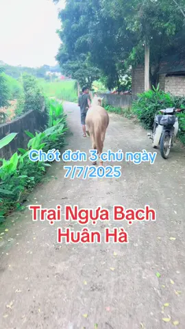 Tiếp tục chốt 3 em cho anh khách Vip trong buổi chiều