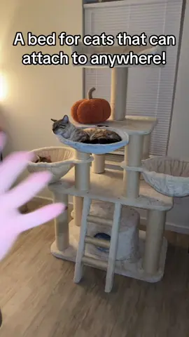 My kitties absolutely love this cat bed, and how it can attach to any surface! #Cat #Cats #CatLover #CatMom #CatDad #CatToy #CatFood #HealthyCat #HealthyCatFood #CatBed #cathouse 