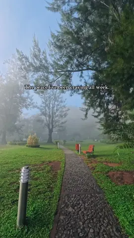 📍 John Hay Hotels Garden Wing (formerly The Manor at Camp John Hay) #baguio #baguiocity #campjohnhay #campjohnhaybaguiocityph #themanor #johnhayhotels 