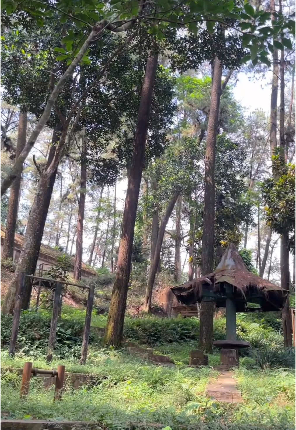 kali ini mau coba rekomendasi tempat healing utk tracking tipis tipis di daerah sumedang🙌🏻 📍gunung kunci mungkin udah banyak yg tau dan ga asing lg sama tahura daerah sumedang ini, karena gunung kunci merupakan salah satu wisata peninggalan sejarah jaman penjajahan belanda yg sampai saat ini bangunan goa nya masih berdiri loh😍 selain itu, gunung kunci masih sangat asri dan sejuk banget walaupun letaknya di tengah kota sumedang🥰🍃 #gunungkuncisumedang #sumedang #tracking #goabelanda #gunungkunci #sumedangsejutacerita 