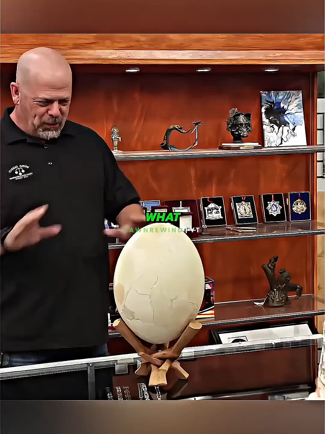 Rare Elephant Bird Egg🤯#pawnstars #shorts