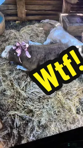 Wtf did I just witness #reddeadredemtion2 #rdo2 #rdo #missapology #crypticapology #GamerGirl 