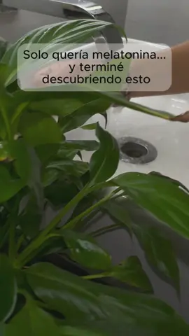Solo quería melatonina... y terminé descubriendo esto#pulseradecobre  #saludnatural  #dolorarticular  #dormirmejor  #bienestar  #magnetoterapia  #energiapositiva  #remediosnaturales  #saludholística  #Insomnio  #terapiamagnetica  #estiloconsalud  #cobreconimanes  #tiktokmelomostró  #autocuidado  #vidasaludable  #descansoprofundo  #fatigacrónica  #cuidatucuerpo 