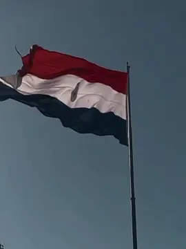 #virale #paraguay #paraguay🇵🇾 #fyp #comidaparaguaya 