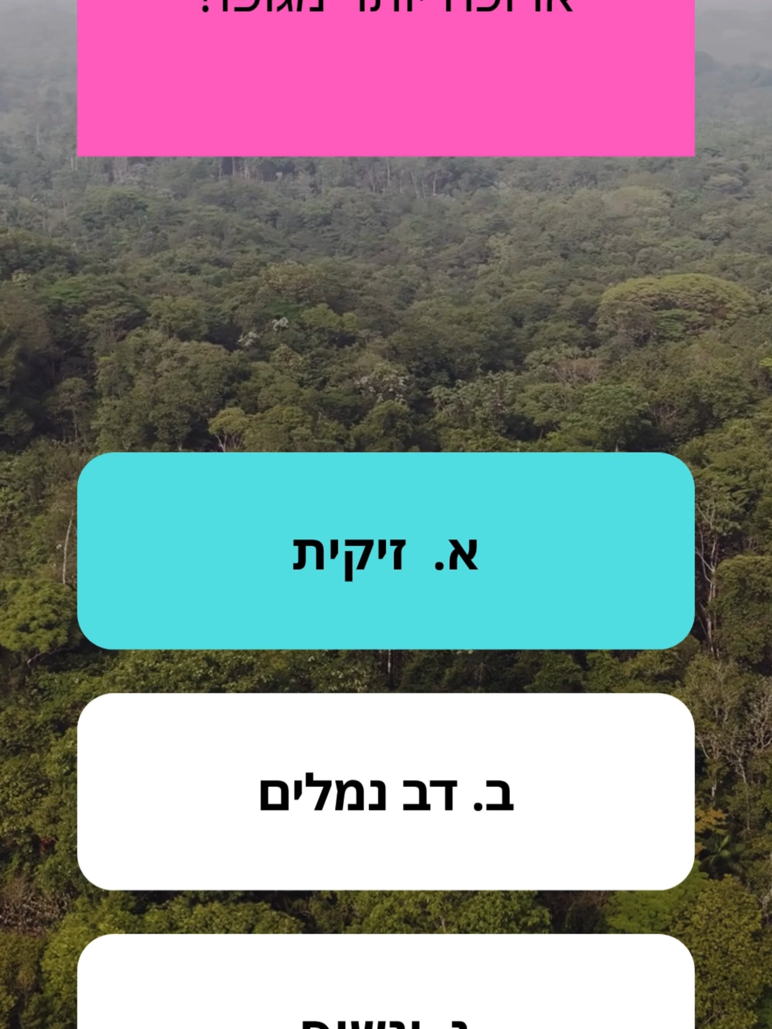 ידע כללי טריוויה