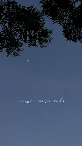 #fyp 