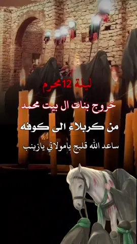 #عمت_عيني_عليج_مولاتي_زينب 