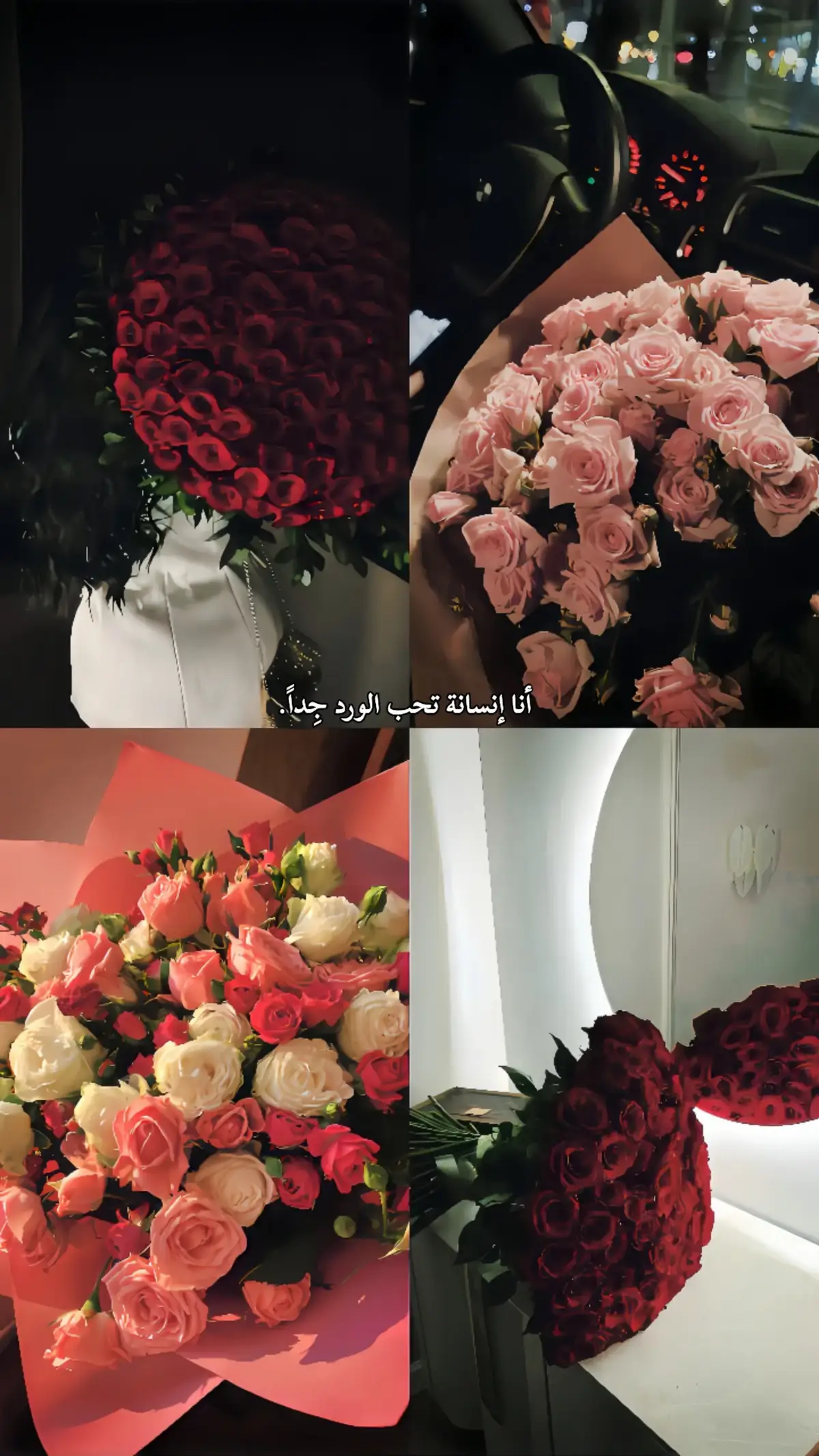 ✨#تصاميم_فيديوهات #مالي_خلق_احط_هاشتاقات #حركة_إكسبلور #الشعب_الصيني_ماله_حل😂😂 #بدون_هشتاق #song #أغاني #