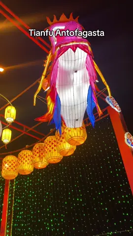Mi experiencia en Tianfu: Había harto espacio para disfrutar las luces, en algunas se hacía fila para poder tener una buena foto. La comida tema aparte, fila de hasta una hora y después tener que encontrar donde sentarse igual de complicado. Hay 3 funciones del show, la más llena fue la de las 20:30. La tercera y última función es a las 22:40 y esa no estaba tan llena. Recomiendo llegar después de la segunda función, porque baja la cantidad de gente, habían filas sobre todo en comida, pero no tan largas. Ojo, que las bebidas en lata están a $4.000 🫠 y no venden jugos para los más pequeños.   #tianfufestival #antofagasta #sectornorteantofagasta #fyp 