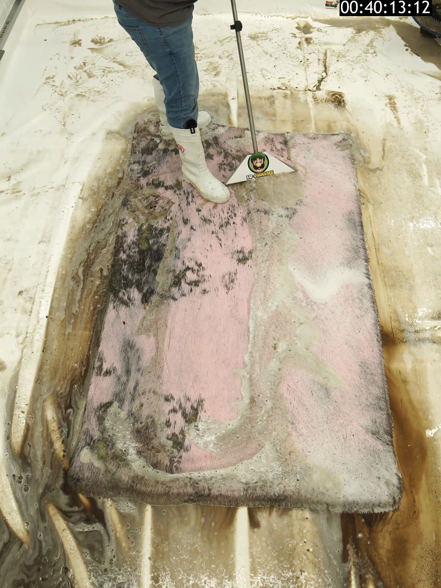 The Colour Of This Rug Shocked Me ! #carpetcleaningvideos #restoration #rugwashing #satisfying #carpetcleaning #nasty #asmr