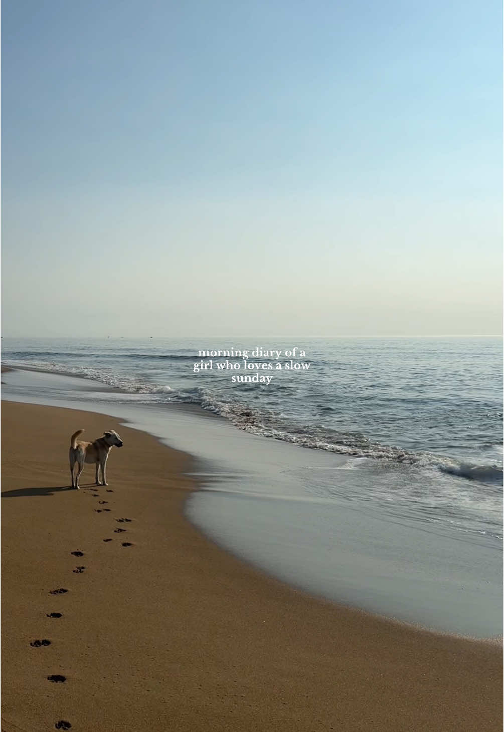 Sundays are my favorite #summermorning #newengland #morningroutine #neutralaesthetic #neutralstyle #coastalliving #coastalaesthetic 