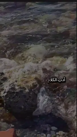 أدبُ الكلامِ دليلُ عقلِكَ يافَتَى فانظر كلامَكَ إنه المِيزَان من لم يزده العلمُ حسنَ تصرفٍ ذاك امرُؤٌ في عقلِه نقصانُ #تركيا #اسطنبول #الغربة #مغترب #شعروقصايد 