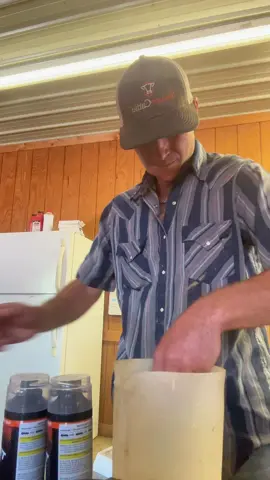 #fyp #foryoupage #cowboyshit #salebarn #punchy #eatbeef #punchy #ranching #gavinadcock #pearlsnap #hatflick 